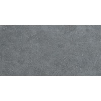 D137 (8S32) SEASTONE Gray 30x60