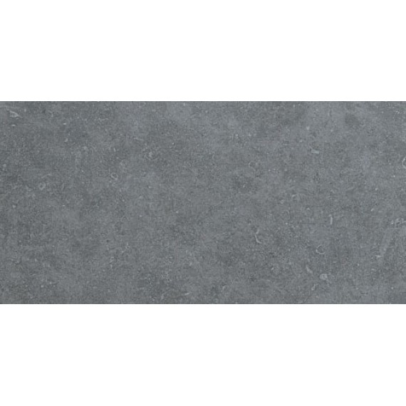 Керамогранит D137 (8S32) SEASTONE Gray 30x60