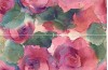 DAHU D-Flora 50х76