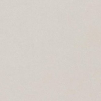 DAK12653 Trend 10x10