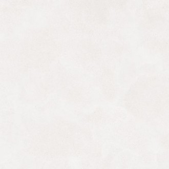 DAK81790 Betonico white-grey R10 80x80