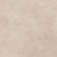 DAK81794 Betonico dark beige R10 80x80