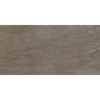 DAK84736 Quarzit Brown 40x80