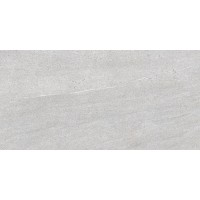 DAK84737 Quarzit Grey 40x80