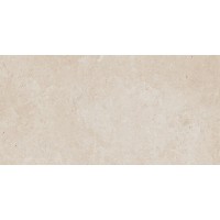 DALSE801 LIMESTONE 30x60