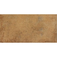 DARPT664 Siena brown R9 22,5x45