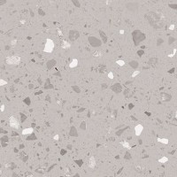 DAS26811 Porfido grey R10 20x20