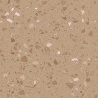 DAS26814 Porfido ochre R10 20x20