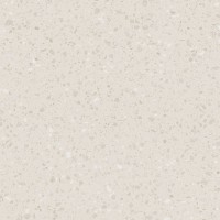 DAS63813 Porfido beige R10 60x60