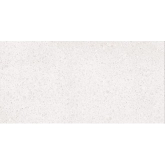 DASV1810 Porfido white R10 60x120
