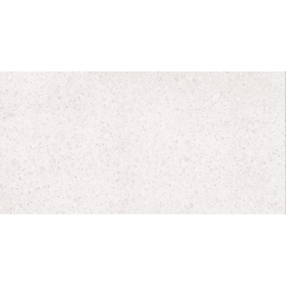 Керамогранит DASV1810 Porfido white R10 60x120