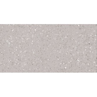 DASV1811 Porfido grey R10 60x120