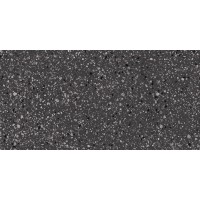 DASV1812 Porfido black R10 60x120