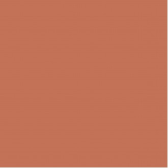 DB_010 Керамогранит Poly Tangarine 20х20