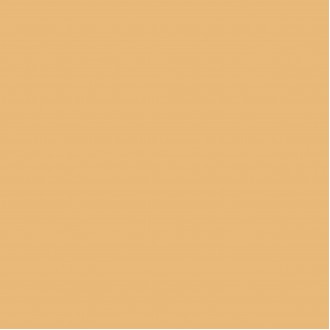 DB_012 Керамогранит Poly Mustard 20х20