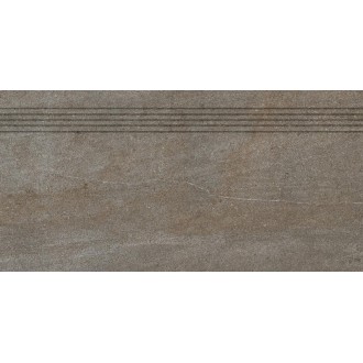 DCP84736 Quarzit Brown 40x80