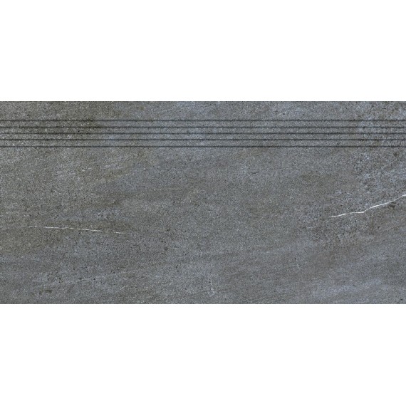 Ступени DCP84738 Quarzit Dark Grey 40x80