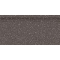 DCPSE822 Linka black R10 30x60
