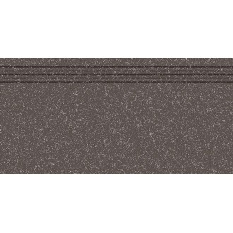 DCPSE822 Linka black R10 30x60