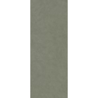 DD070500R6 Конкрит зеленый светлый матовый обрезной 119,5x320x0,6