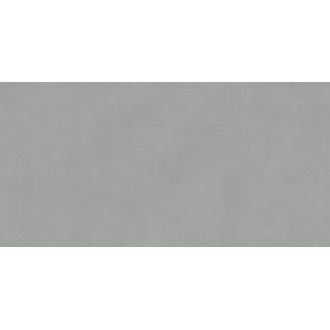 DD590900R Про Чементо серый матовый обрезной 119,5x238,5