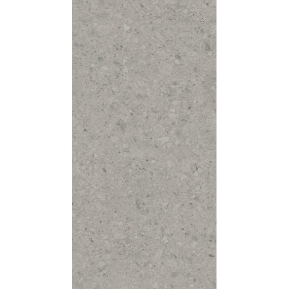 Керамогранит DD591400R Чеппо ди Гре серый матовый обрезной 119,5x238,5x1,1