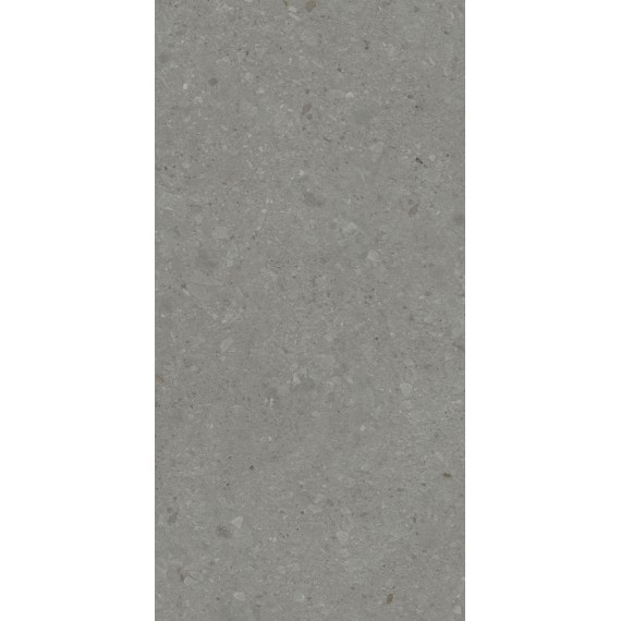 Керамогранит DD591520R Чеппо ди Гре серый тёмный матовый обрезной 119,5x238,5x0,9