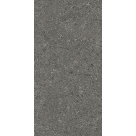 Керамогранит DD591620R Чеппо ди Гре антрацит матовый обрезной 119,5x238,5x0,9