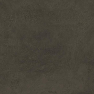 DD639820R Про Фьюче коричневый обрезной 60x60