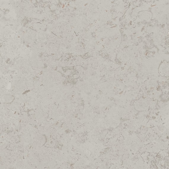 Керамогранит DD641020R Керамогранит Про Лаймстоун серый светлый натуральный обрезной 60х60