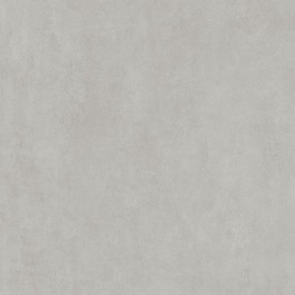 DD841190R Про Догана серый светлый матовый обрезной 80x80x0,9