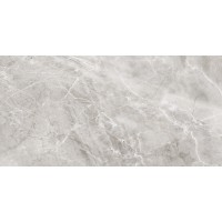 DELHI серый 60х120