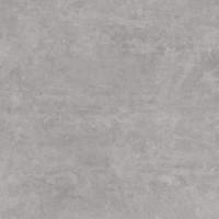 DEVON SILVER NAT. 120x120