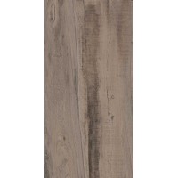 DL501400R20 Керамогранит Про Вуд беж светлый обрезной 60x119.5