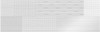 DN-PARISIEN BIANCO SILK 24.4X74.4
