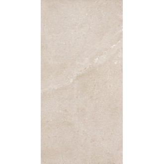 DNWS201 Керамогранит New Stone Daino 60x120
