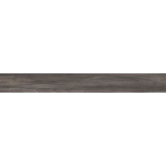 DPR5530A Dolphin Coal Rett 20x170