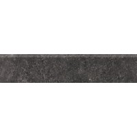 DSAS4433 Base 9.5x60