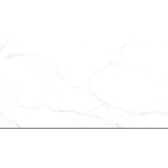 DST12001 Керамогранит Глянец 60x120