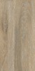 DW02 Dream Wood Неполированный 30.6x60.9x8