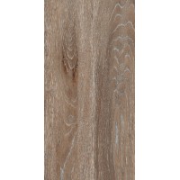 DW04 Dream Wood Неполированный 30.6x60.9x8