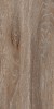 DW04 Dream Wood Неполированный 30.6x60.9x8