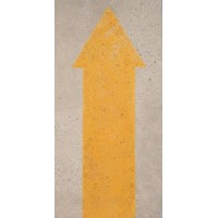 DWR03201 Dec.One Way Arrow Ash 30x60