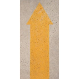 DWR03201 Dec.One Way Arrow Ash 30x60