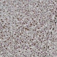 D_Lash Deep Pink 60*60