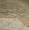 Daino Reale Natural 60.8x60.8