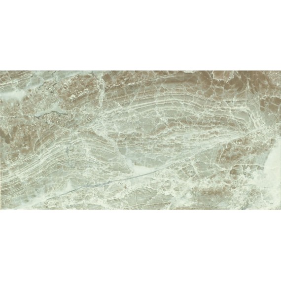 Керамическая плитка Danae Gris 25x50