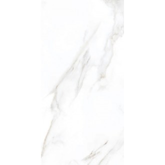 Dante Statuario 600x1200х8,8