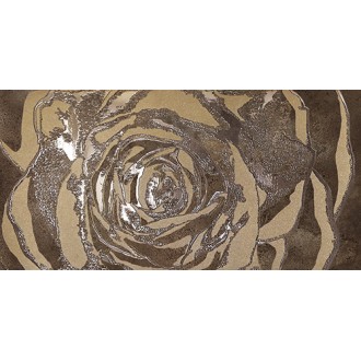 Dec.Omnia bronze 60*120