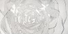 Dec.Omnia white silver 60*120